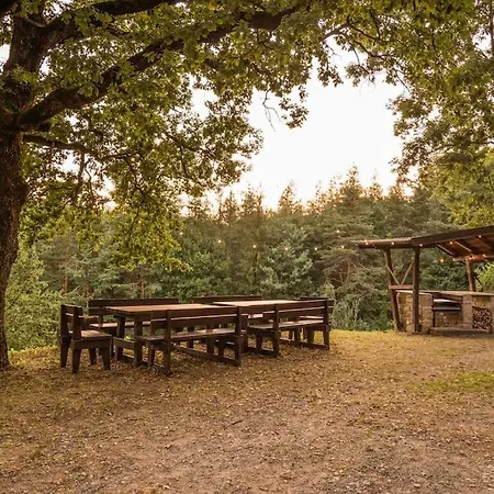 Abissinia, Gioiello Nel Bosco *