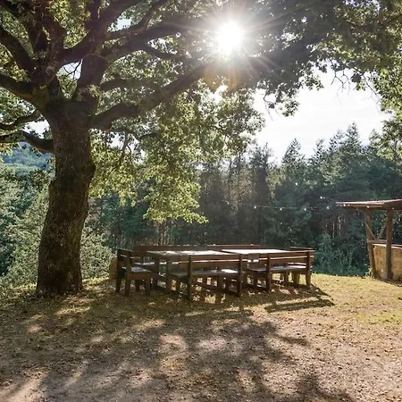 Abissinia, Gioiello Nel Bosco Poiano (Reggio Emilia)