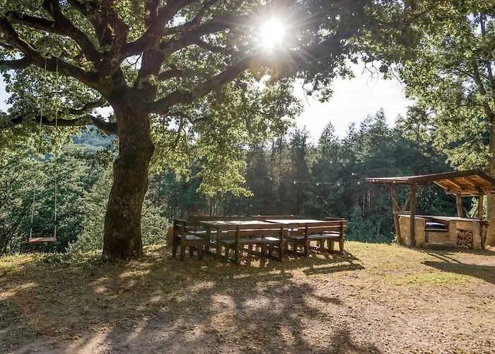 Abissinia, Gioiello Nel Bosco Poiano (Reggio Emilia)
