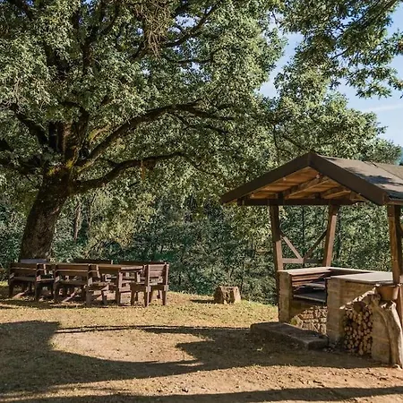 Casa vacanze Abissinia, Gioiello Nel Bosco Poiano (Reggio Emilia)
