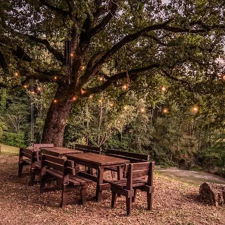 Abissinia, Gioiello Nel Bosco * Poiano (Reggio Emilia)