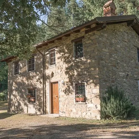 Abissinia, Gioiello Nel Bosco Poiano (Reggio Emilia)