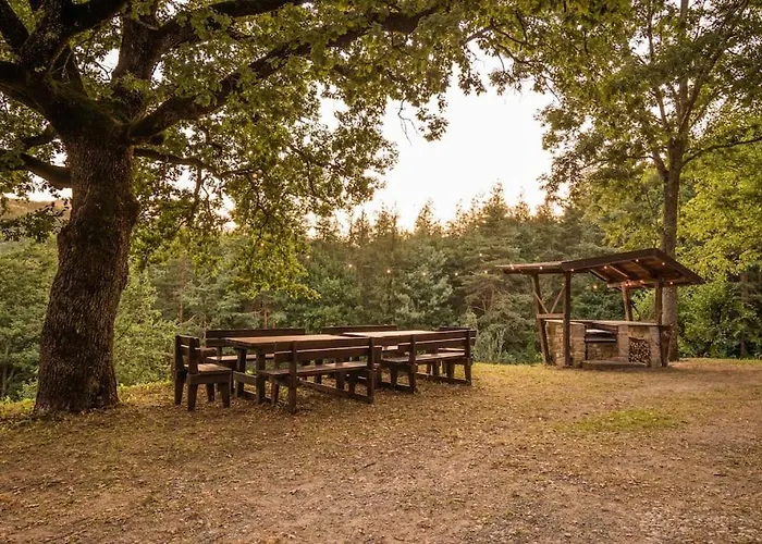Abissinia, Gioiello Nel Bosco *