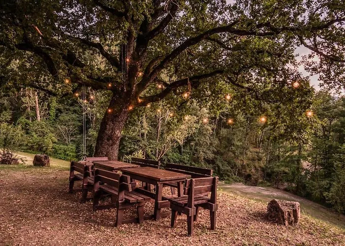 Abissinia, Gioiello Nel Bosco * Poiano (Reggio Emilia)