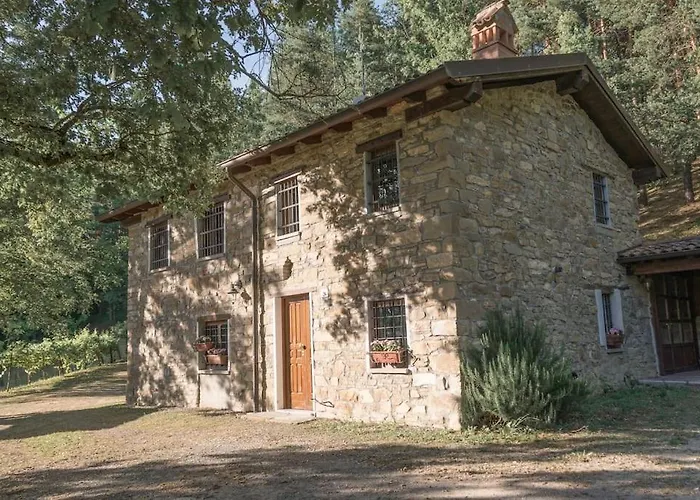 Abissinia, Gioiello Nel Bosco Poiano (Reggio Emilia)